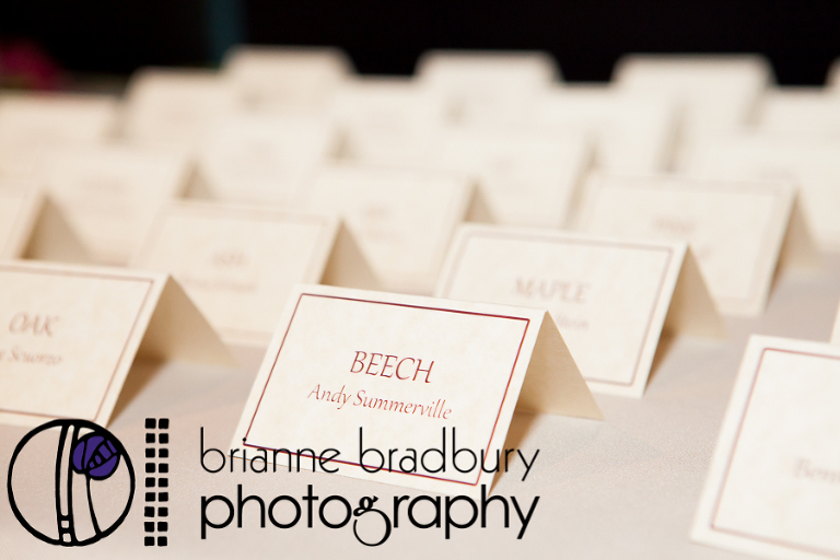 brianne-bradbury-photography-morton-arboretum-fall-wedding-28