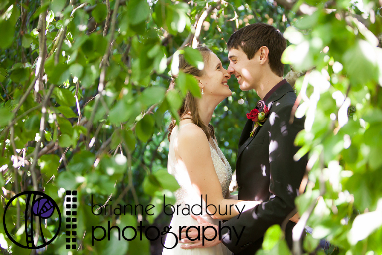 brianne-bradbury-photography-morton-arboretum-fall-wedding-7