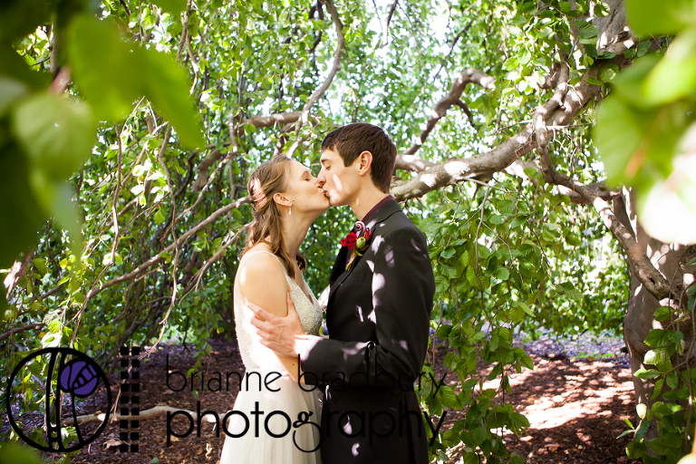 brianne-bradbury-photography-morton-arboretum-fall-wedding-8